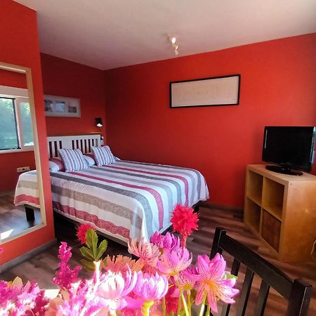 Apartamentos La Casa Del Pintor Cudillero Δωμάτιο φωτογραφία
